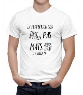 T-shirt homme la perfection n'existe pas mais d'ou je viens