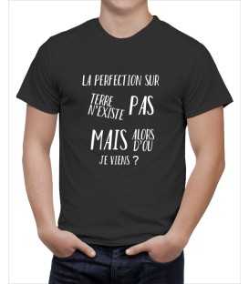 T-shirt homme la perfection n'existe pas mais d'ou je viens